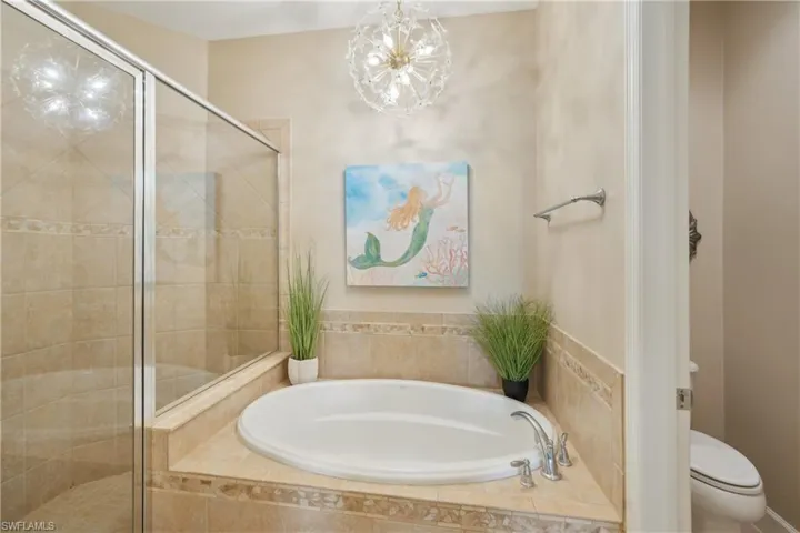 Bathroom with shower with separate bathtub and toilet