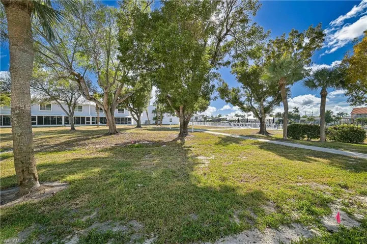 View of grassy yard