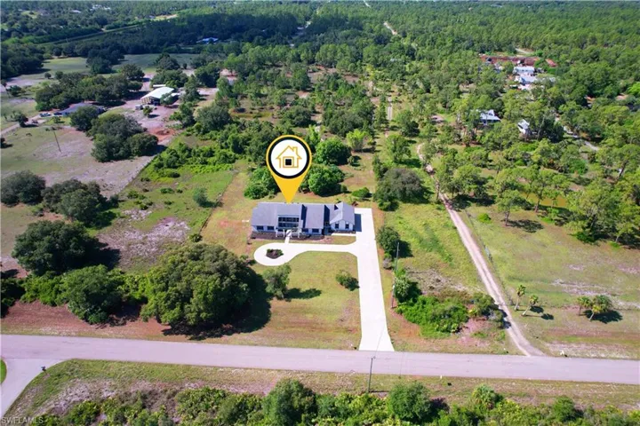 Drone / aerial view of a forest