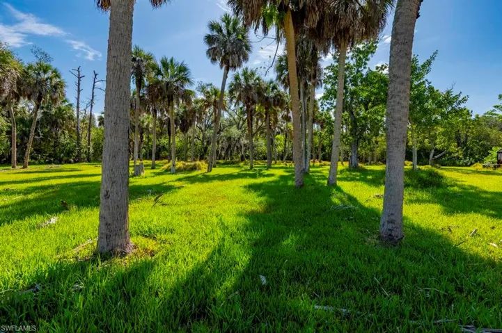 Palms-Central Area