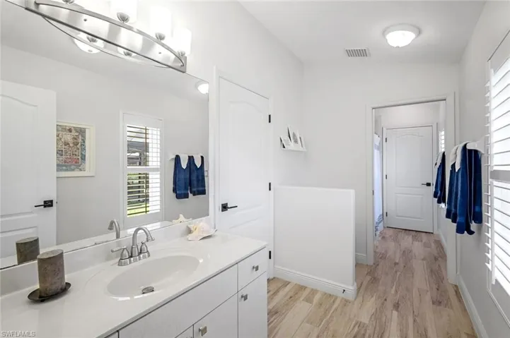 Bathroom with baseboards, visible vents, wood finished floors, and vanity