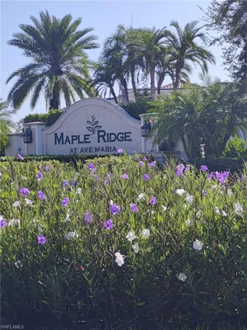 5081 Gambero Way, Ave Maria, Florida 34142