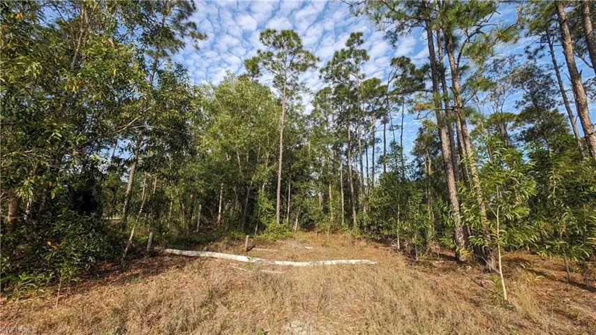 454 Jaipur DR, LEHIGH ACRES FL 33974