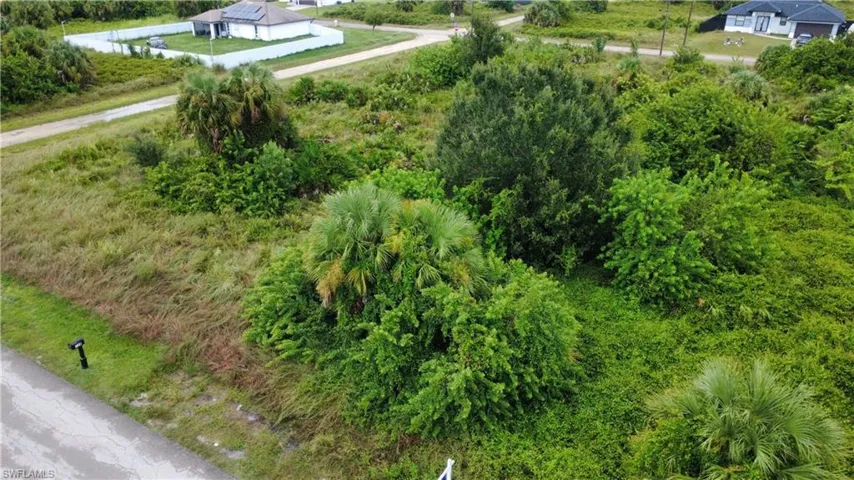 Roadside parcel featuring diverse vegetation and mature trees