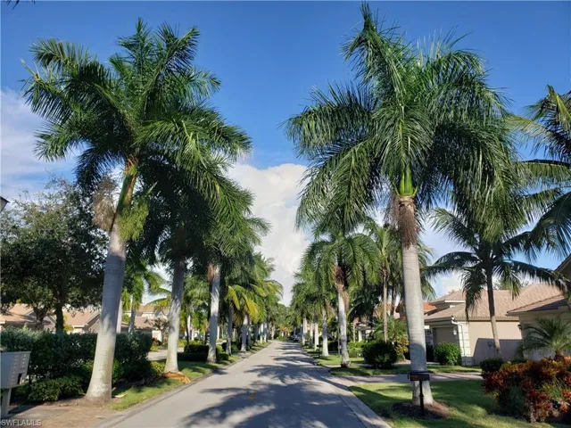 Enjoy beautiful palms on your way home!