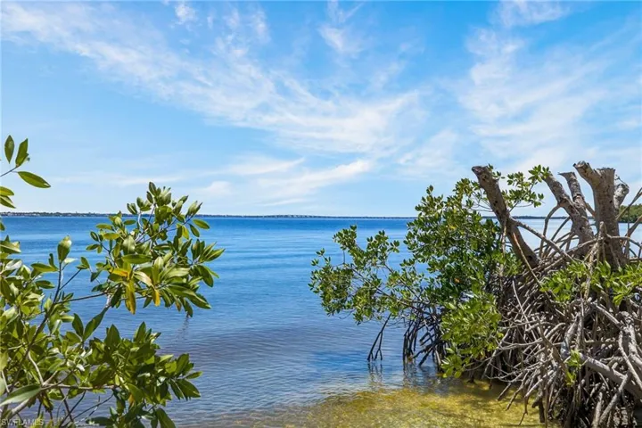 12470 Panasoffkee Dr, North Fort Myers, Florida 33903
