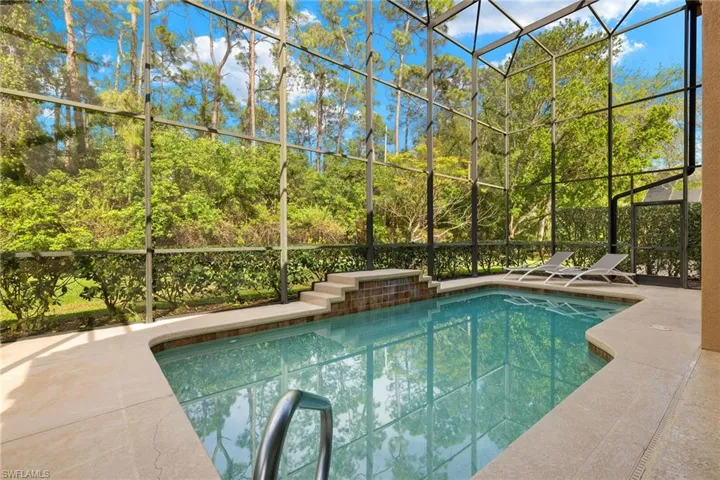 Pool featuring a patio and a lanai