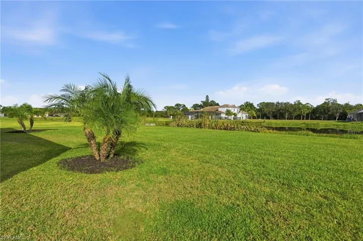 View of grassy yard