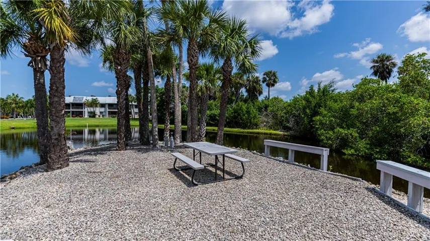 How about picnics on the island surrounded by water and lush palm trees