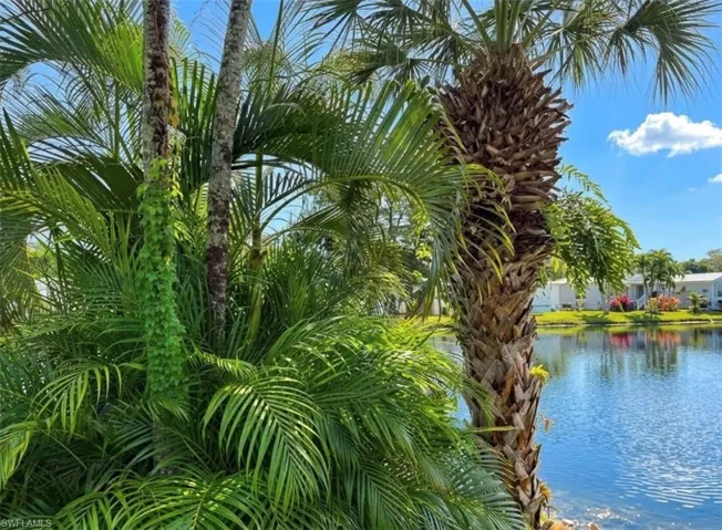 405 Imperial Wilderness Blvd, Naples, Florida 34114