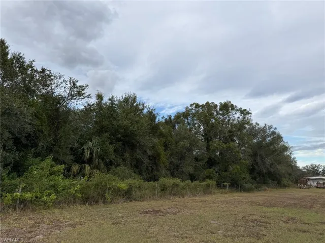 2597 NE Nat  AVE, Arcadia, FL 34266