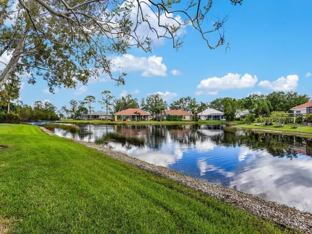 Peaceful Lake View