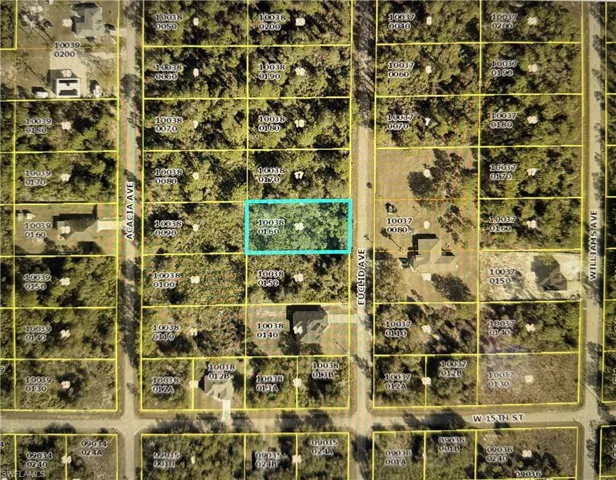 1507 Euclid Ave, Lehigh Acres, Florida 33972