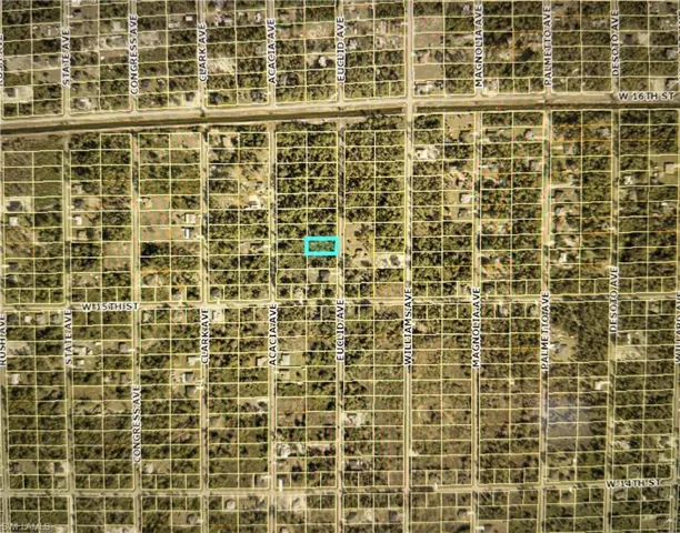 1507 Euclid Ave, Lehigh Acres, Florida 33972
