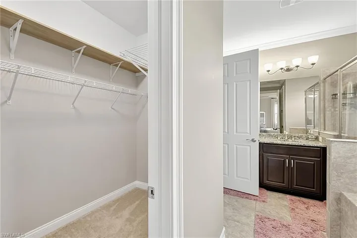 Walk-in closet with carpet flooring