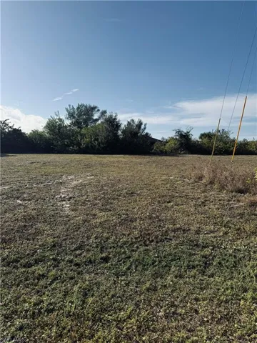 View of yard with a view of rural / pastoral area