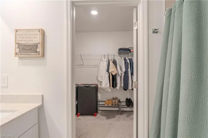 Spacious closet featuring light carpet