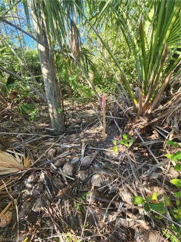 View of the survey marker