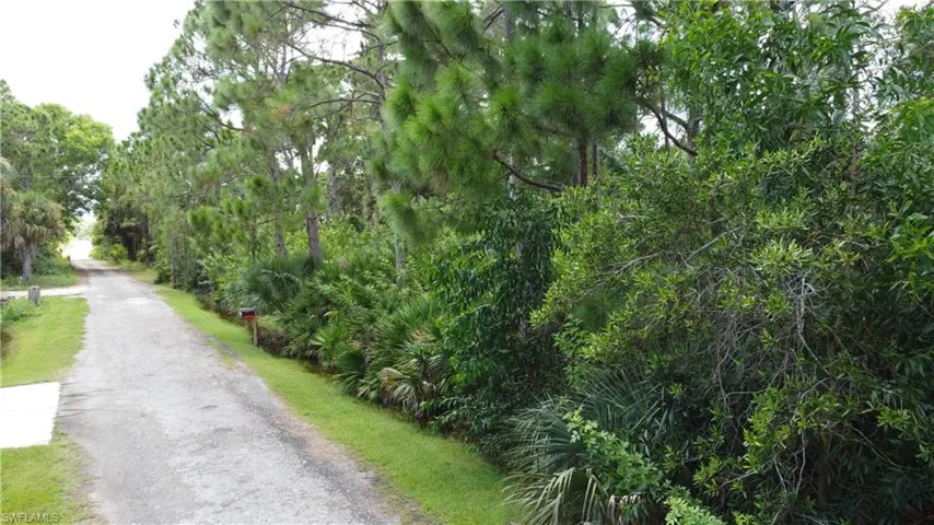 View of road