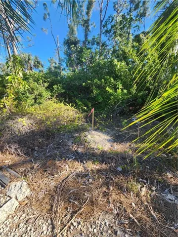 View of the survey marker