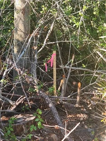 View of the survey marker