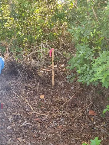 View of the survey marker
