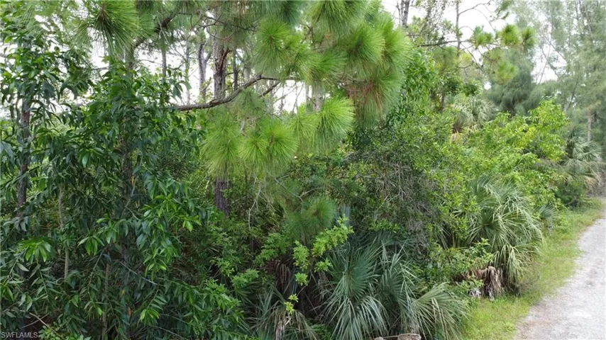 View of landscape