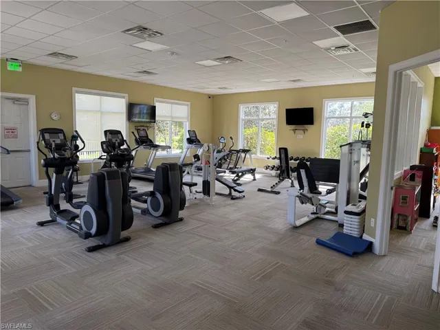 Exercise room featuring visible vents, a wealth of natural light, and carpet floors