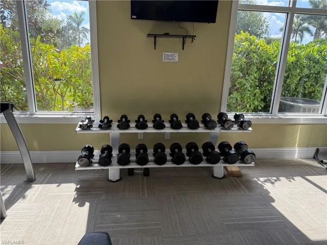 Exercise room featuring baseboards, carpet, and plenty of natural light