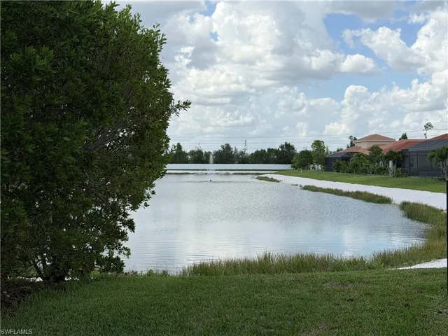 Partial view from the back yard