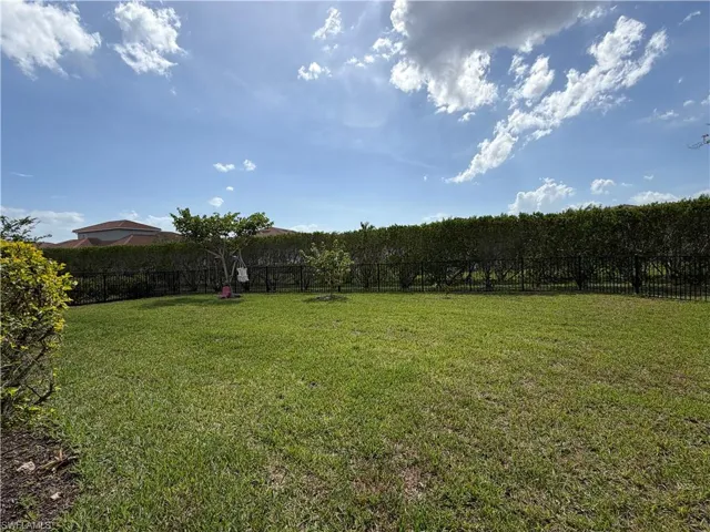 Huge Back Yard
