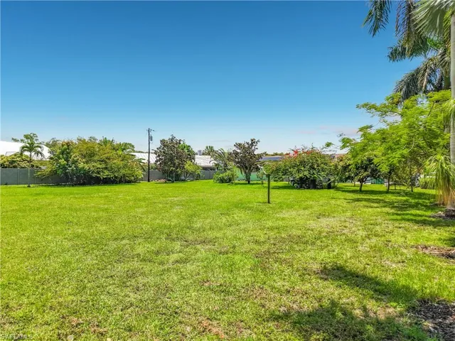 Expansive grass yard with mature tropical foliage