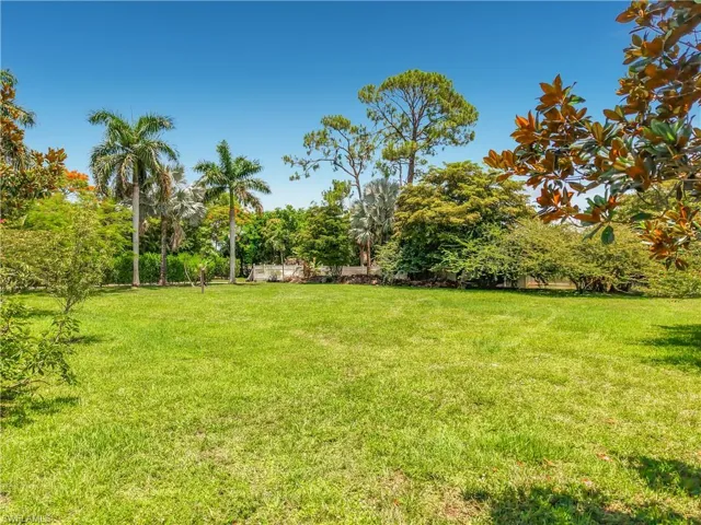 Expansive grassy lawn surrounded by mature trees, including palm trees and broadleaf evergreens