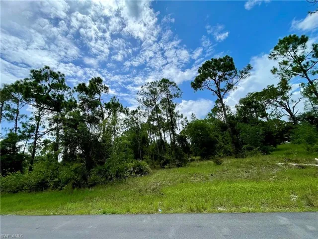 View of nature