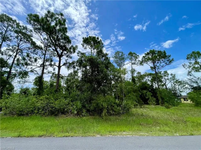 View of nature