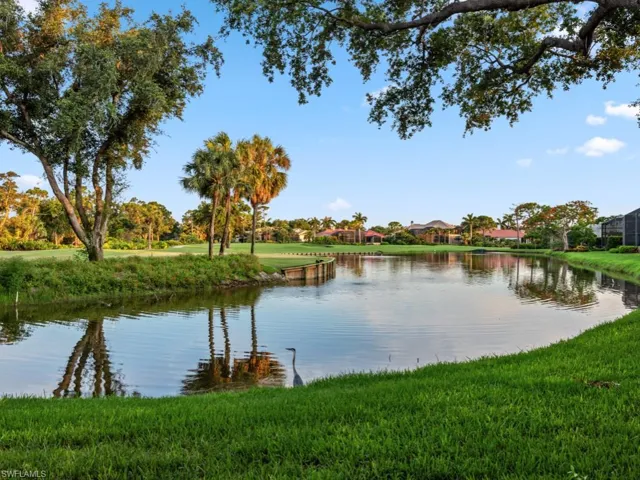 View of lake and Marsh #15