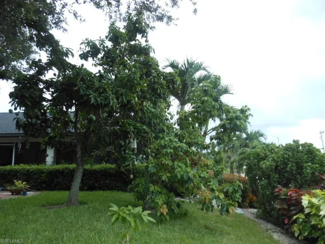 1236 Everest Pkwy, Cape Coral, Florida 33904