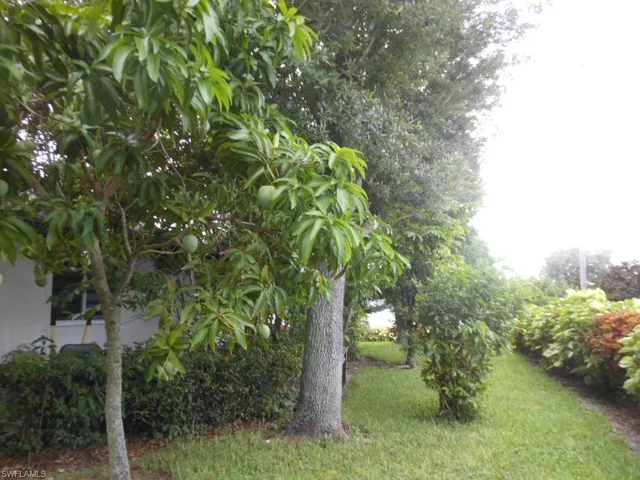 1236 Everest Pkwy, Cape Coral, Florida 33904