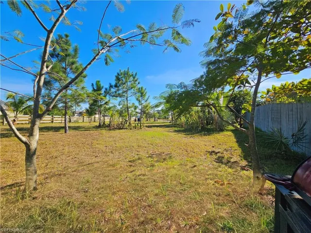 View of yard