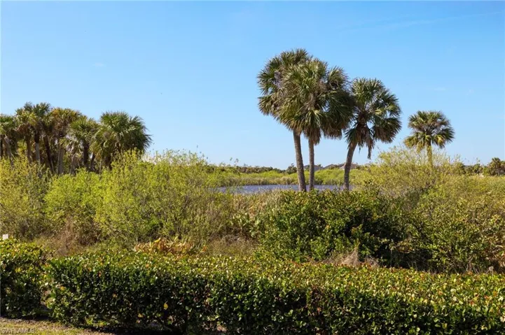 Backyard view of the Preserve and Lake