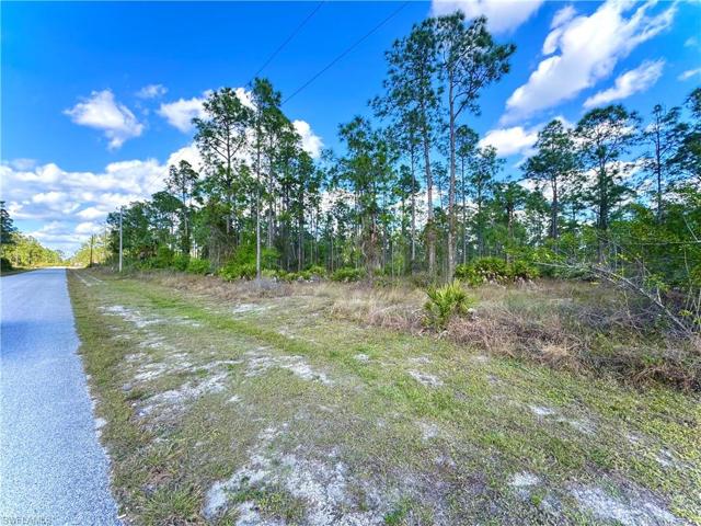 1110 Leroy AVE, LEHIGH ACRES FL 33972