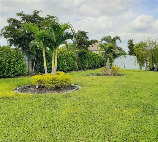 Established Landscaping