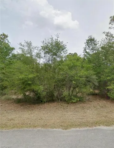 9343 N China Pink Way, Crystal River Fl 34428