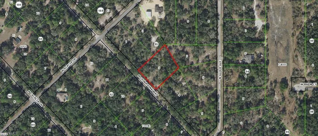 9343 N China Pink Way, Crystal River Fl 34428