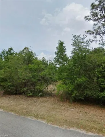 9343 N China Pink Way, Crystal River Fl 34428