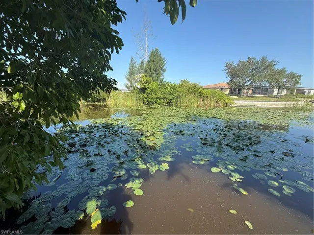 1224 Ne 1st Pl, Cape Coral, Florida 33909