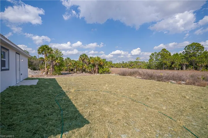 View of green lawn