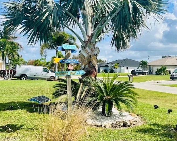 Owl house and neighborhood