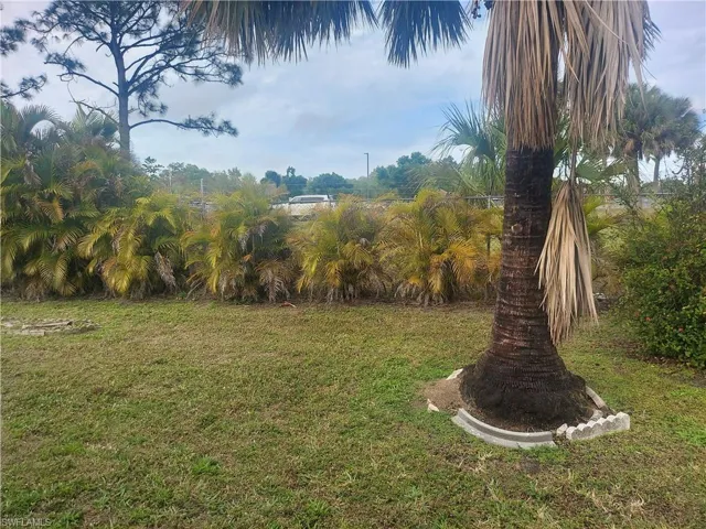 Back yard facing west