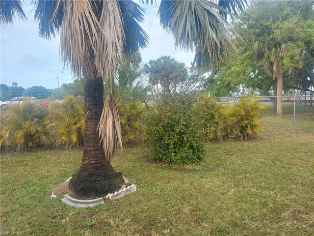Back yard facing west